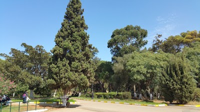 الحديقة العامة مدينة جديدة
